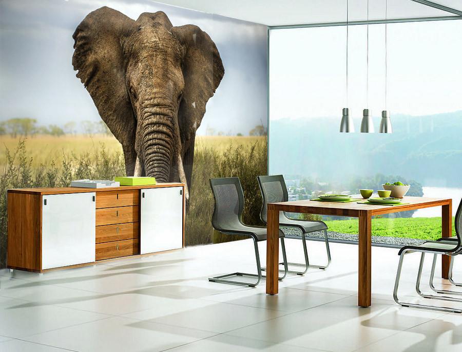 Big Elephant Wallpaper AJ Wallpaper