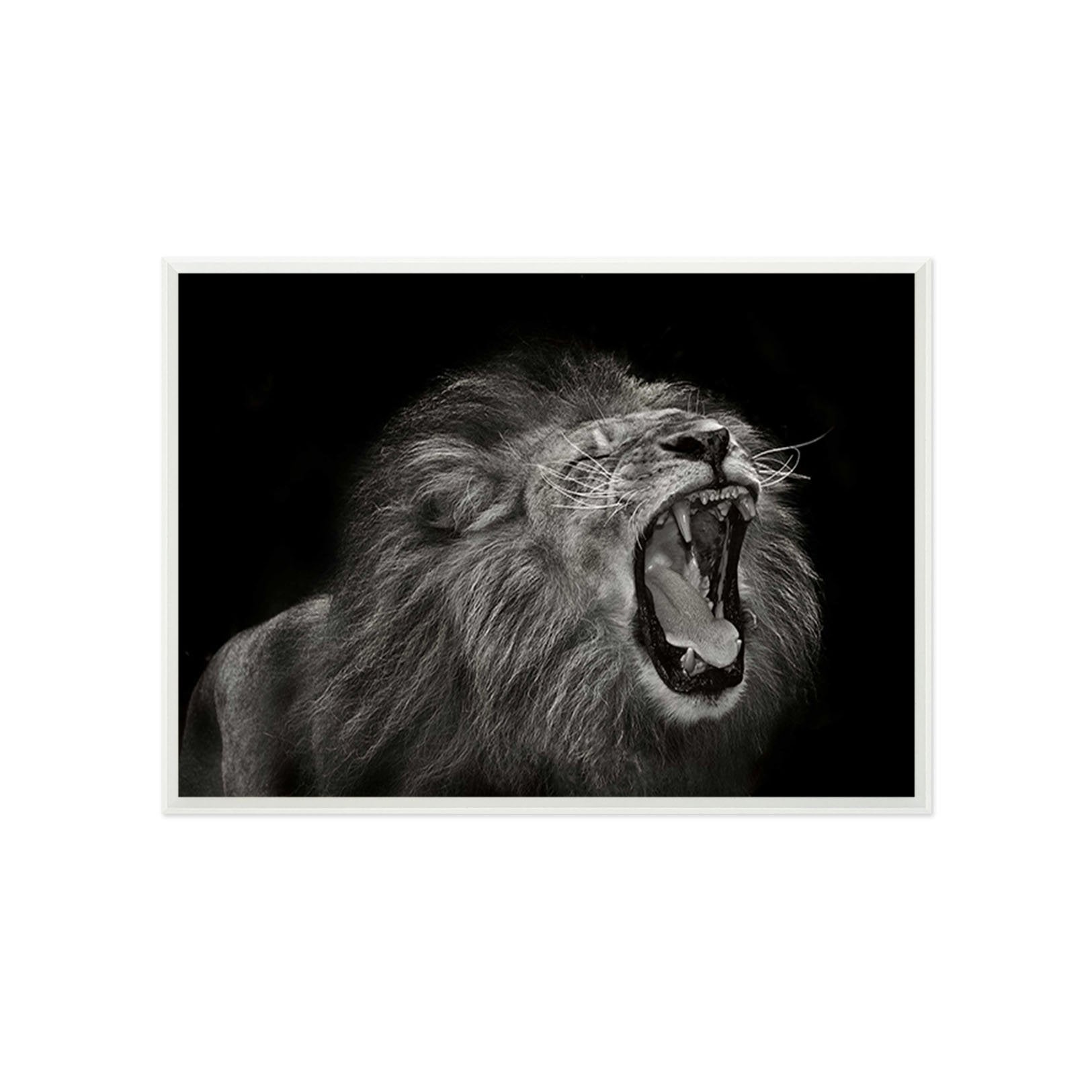 3D Roaring Tiger 084 Fake Framed Print Painting Wallpaper AJ Creativity Home