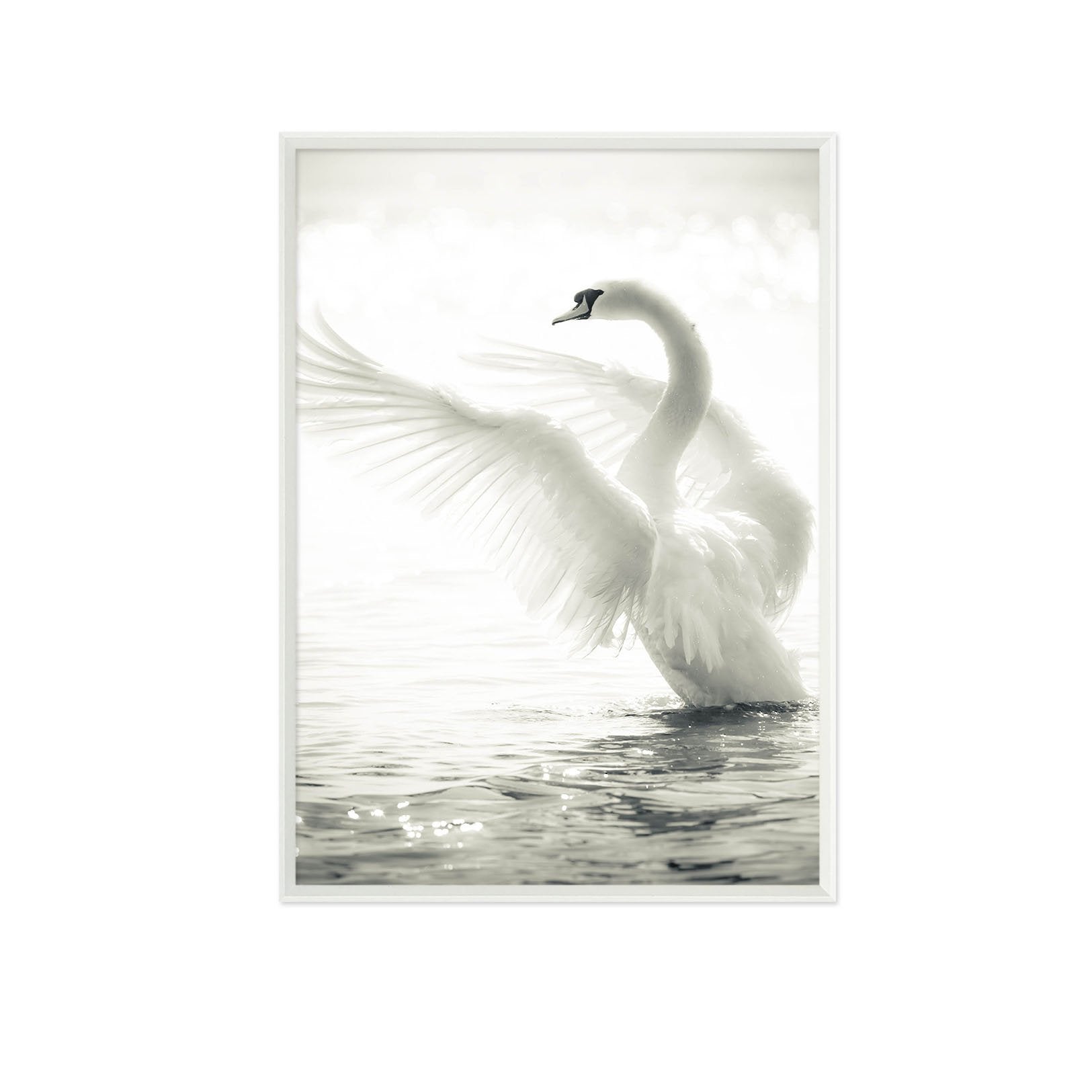 3D Swan Dancing 055 Fake Framed Print Painting Wallpaper AJ Creativity Home