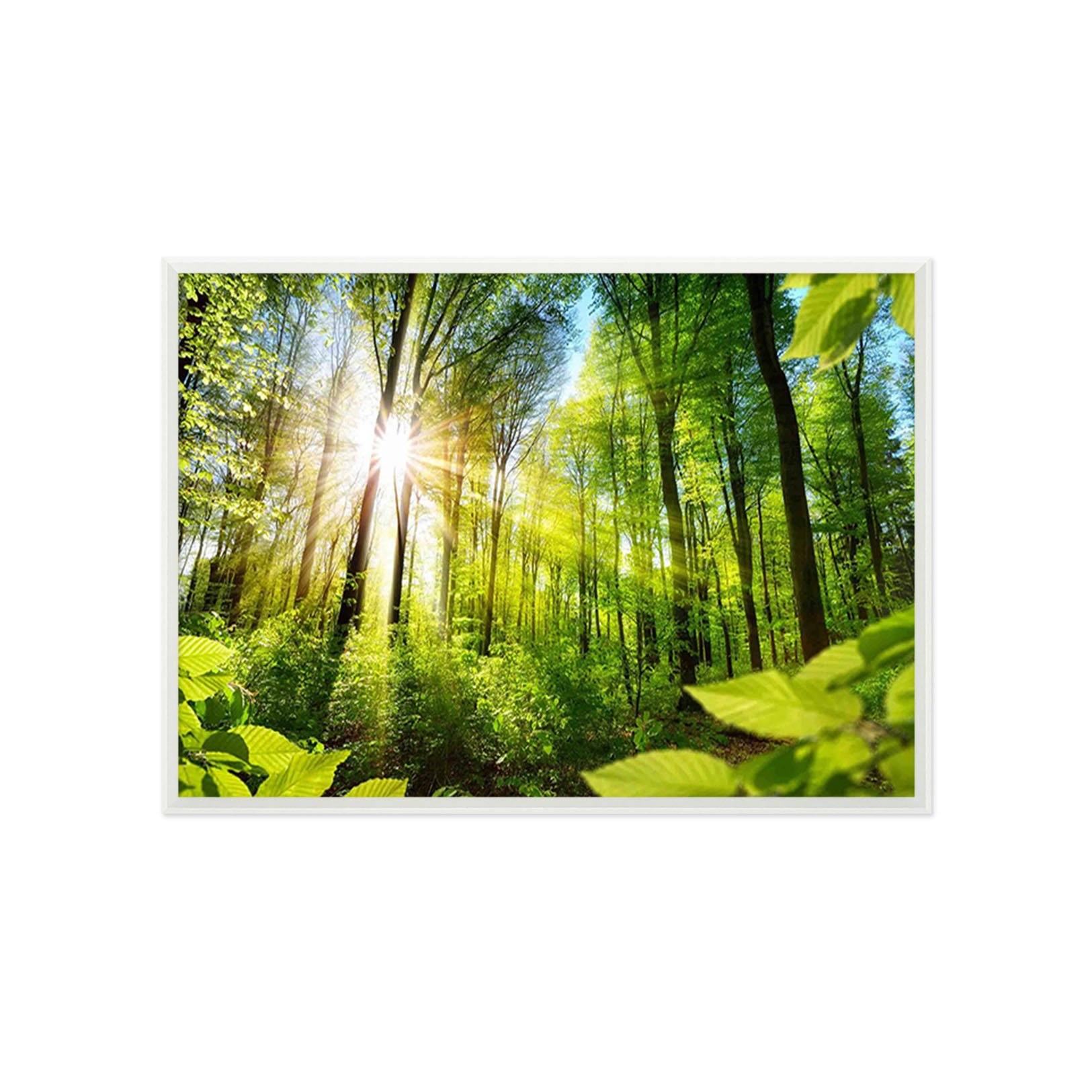 3D Sunny Forest 104 Fake Framed Print Painting Wallpaper AJ Creativity Home