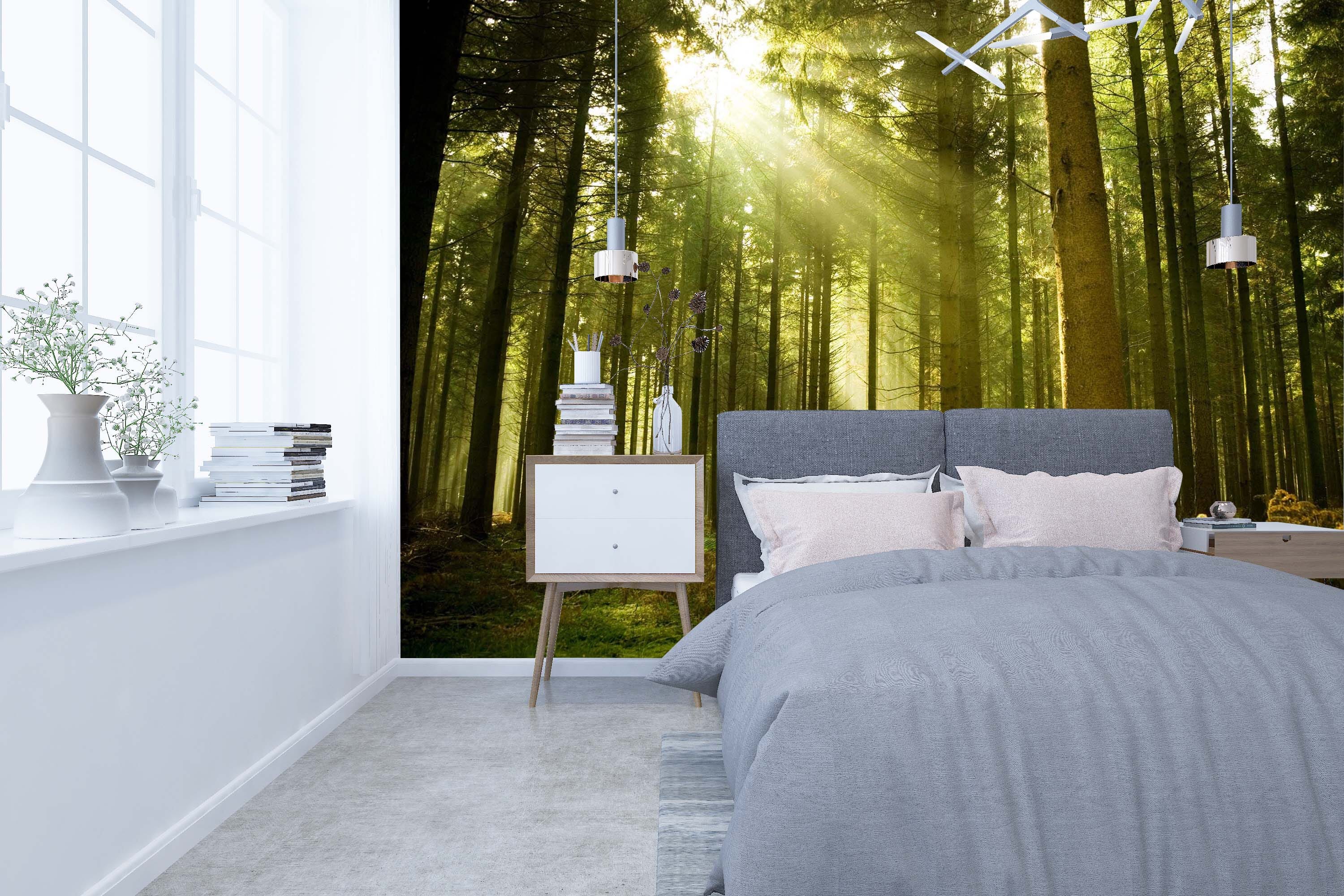 3D Forest Sunlight 152 Wall Murals Wallpaper AJ Wallpaper 2