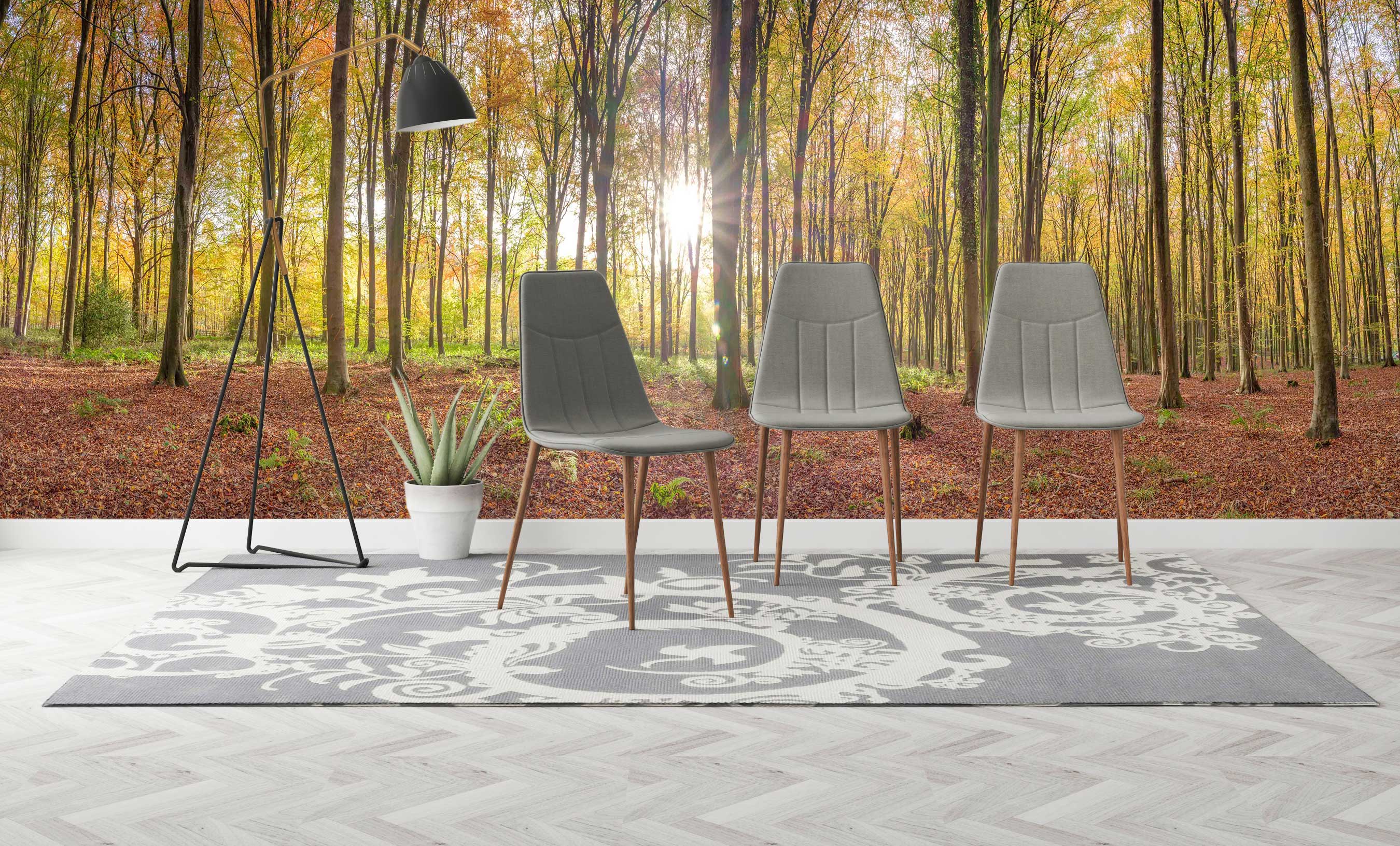 3D Sunshine Forest 6274 Assaf Frank Wall Mural Wall Murals