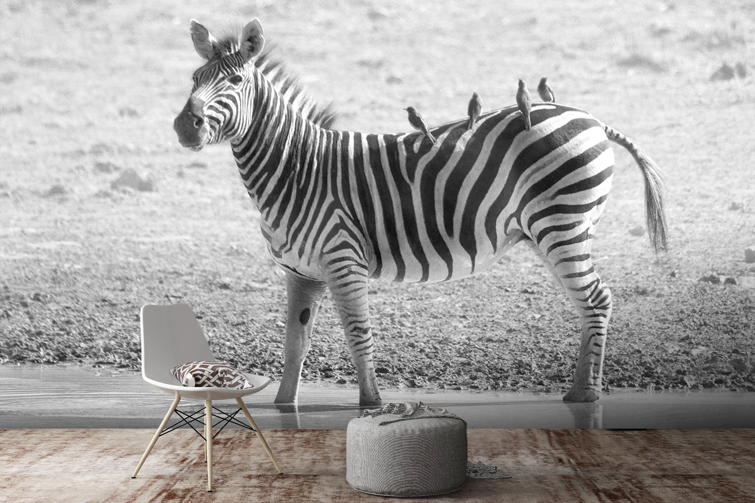 3D River Zebra 354 Wall Murals Wallpaper AJ Wallpaper 2