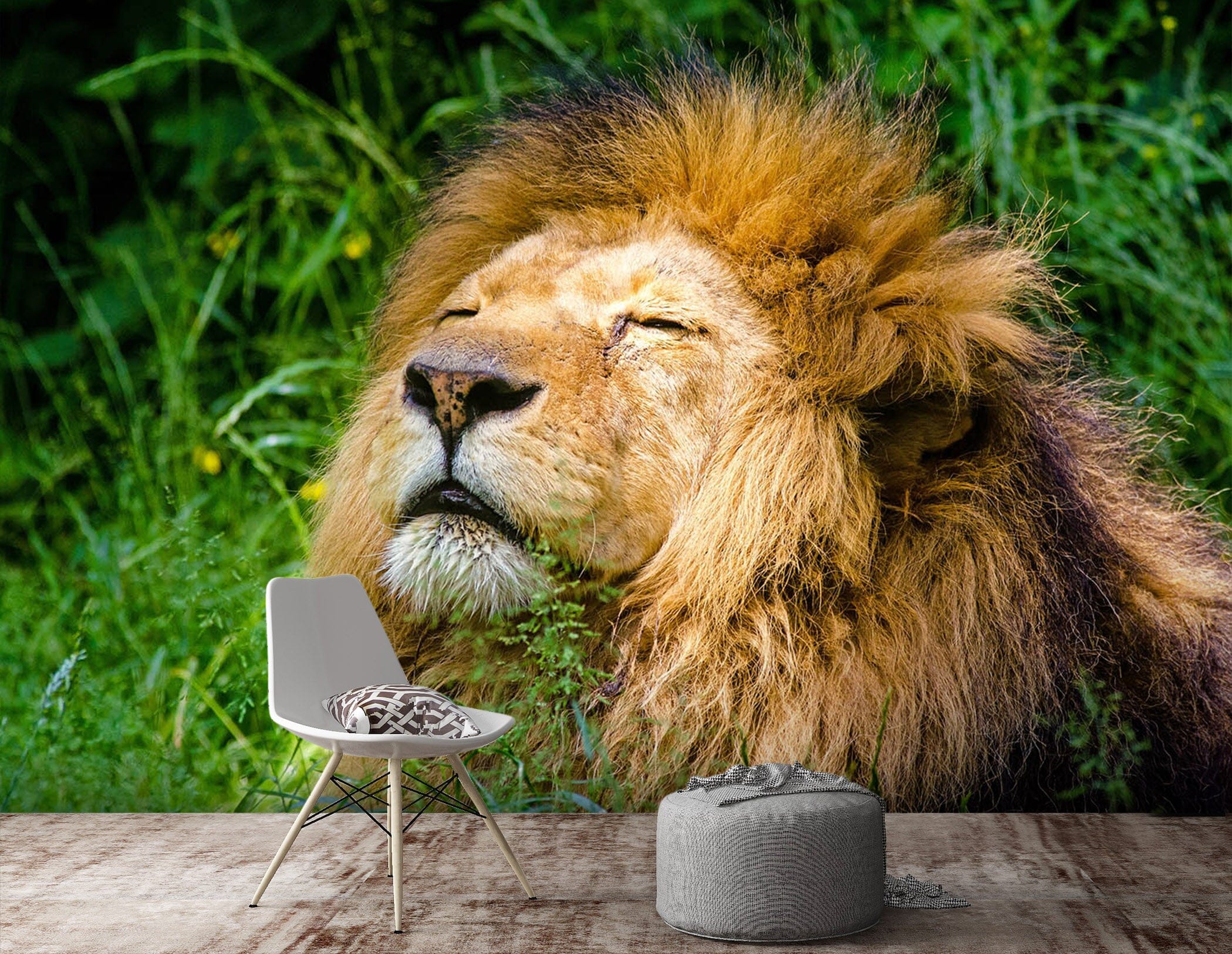 3D Big Lion 129 Wall Murals Wallpaper AJ Wallpaper 2