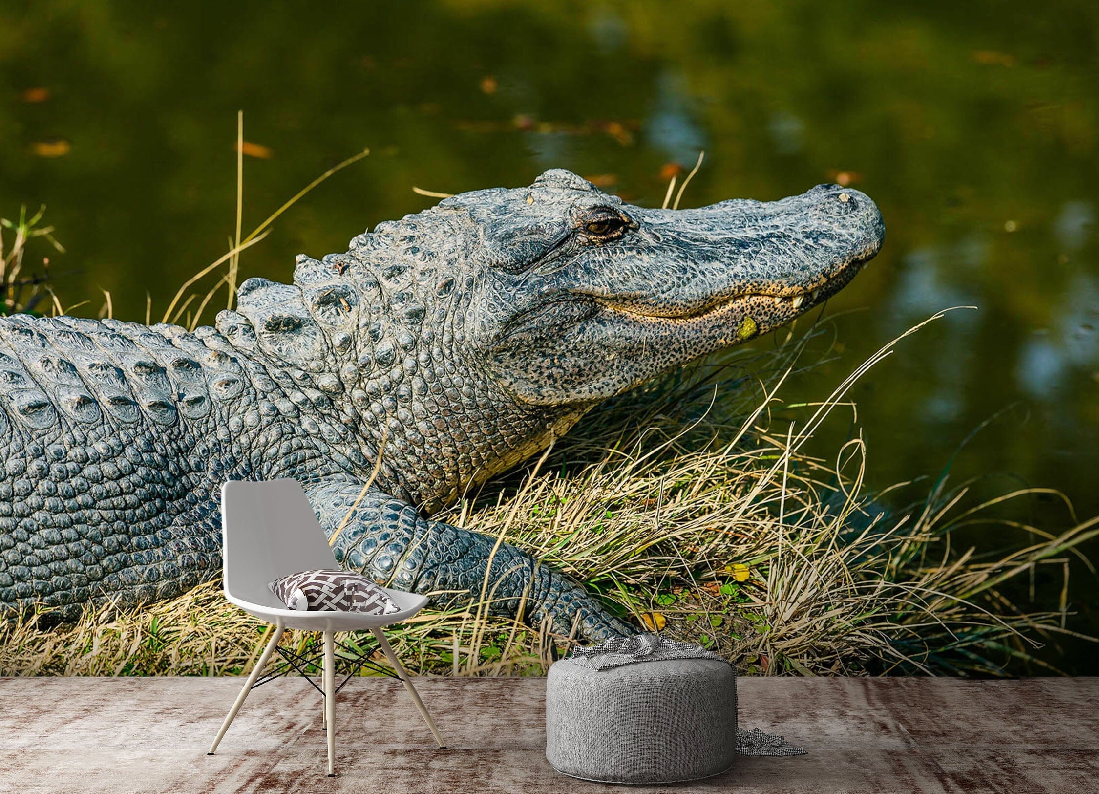 3D Crocodile 227 Wall Murals Wallpaper AJ Wallpaper 2