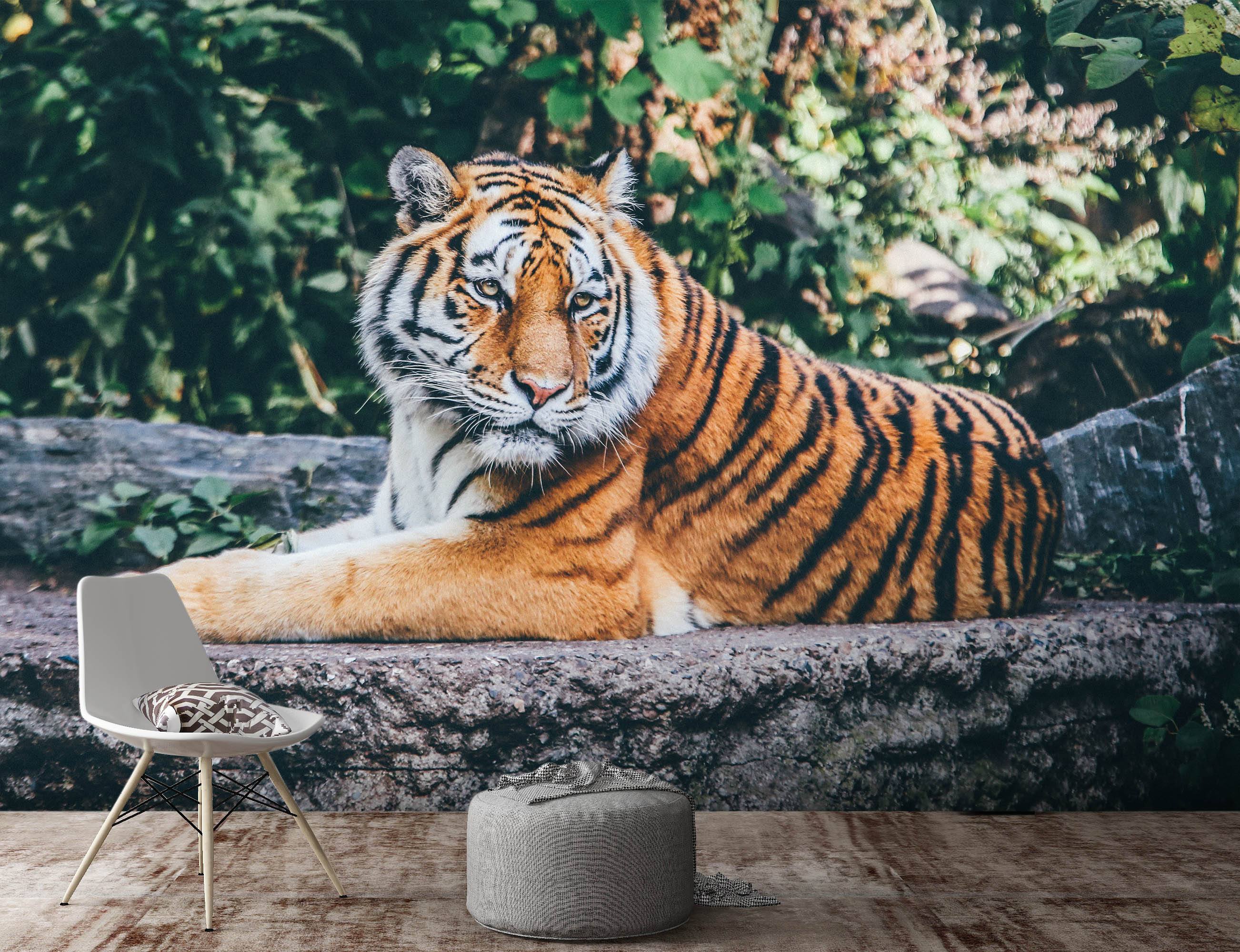 3D Forest Tiger 581 Wallpaper AJ Wallpaper