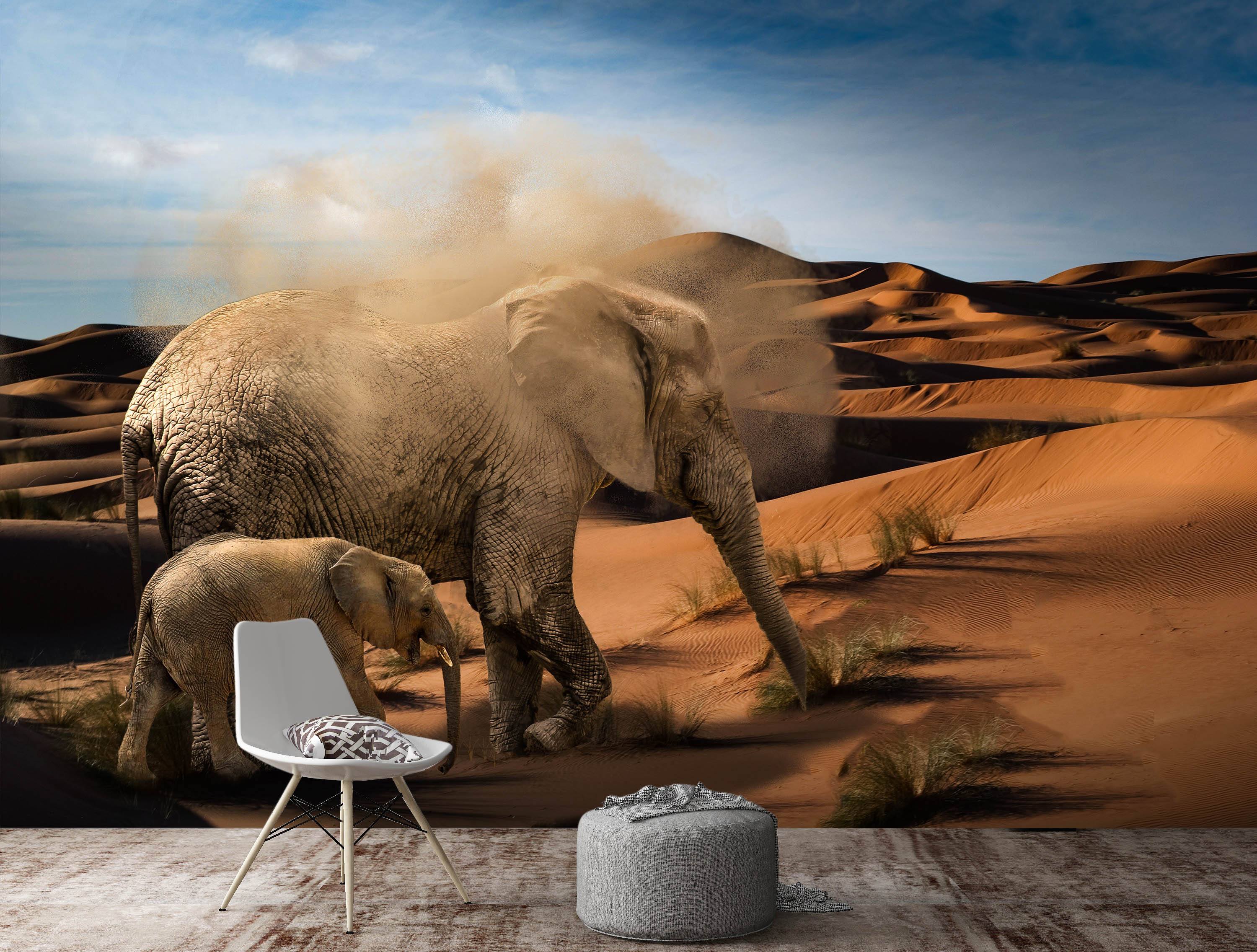 3D Desert Elephant 138 Wallpaper AJ Wallpaper