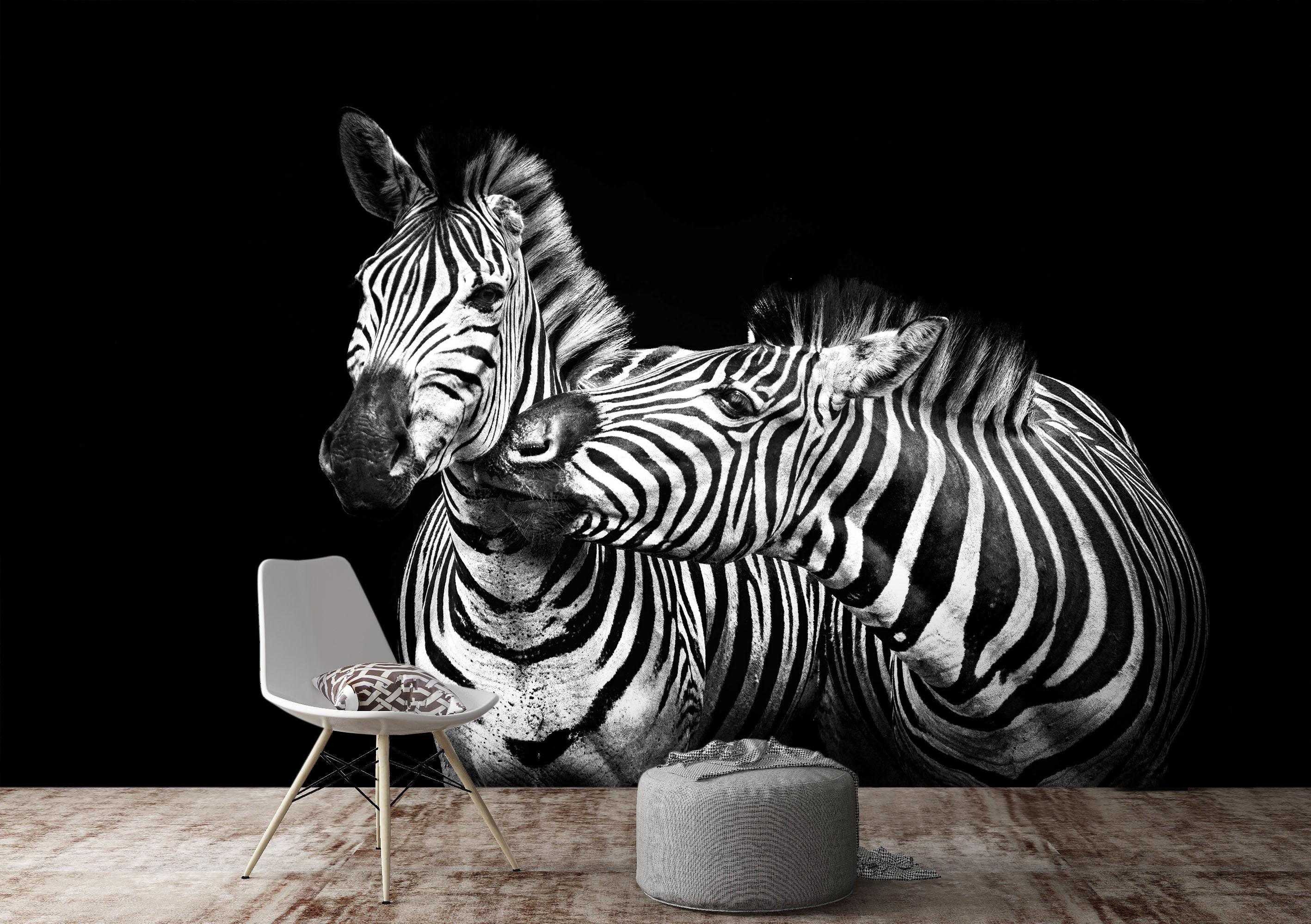 3D Zebra Mouth 255 Wallpaper AJ Wallpaper