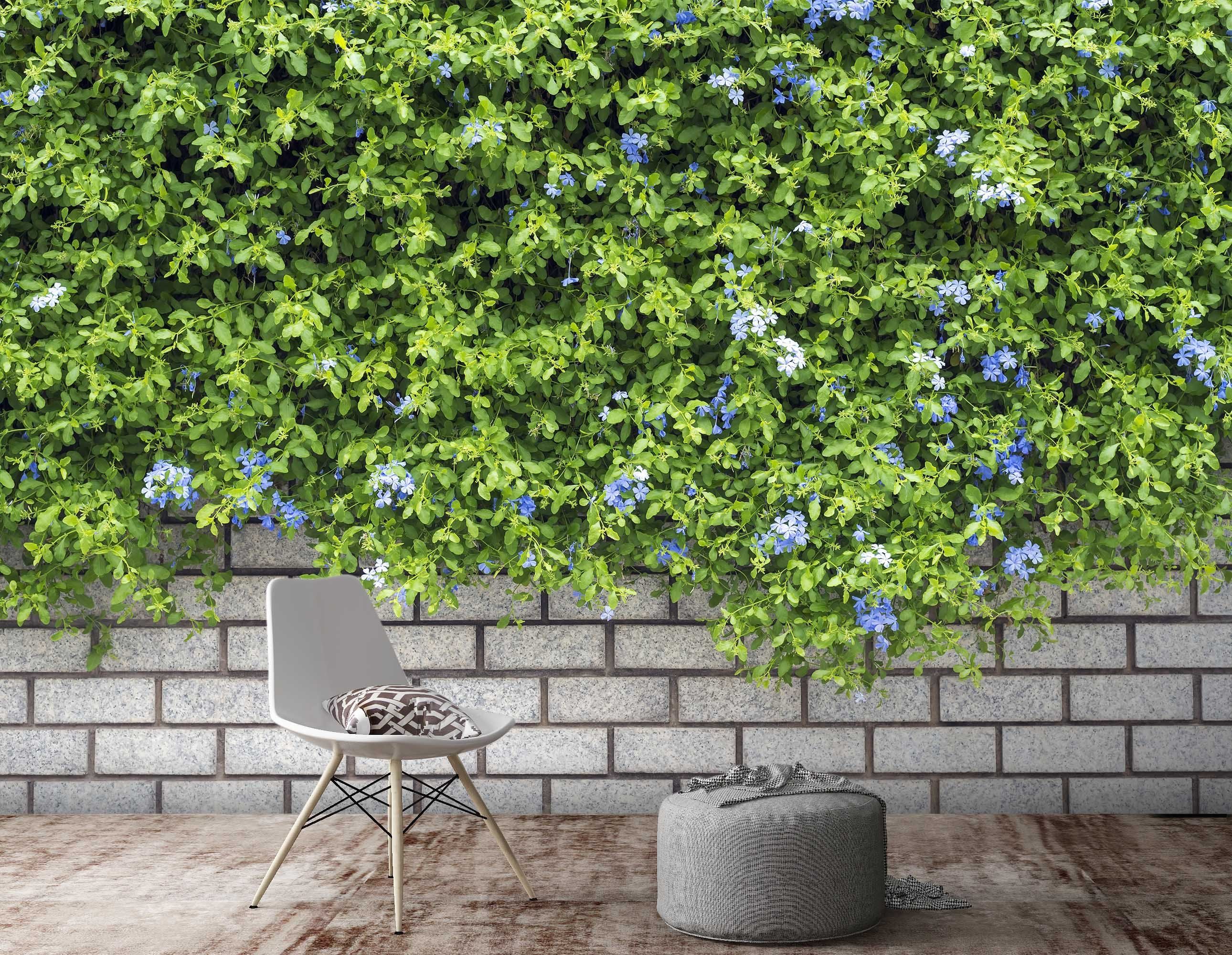 3D Vegetation Wall Plant 1529 Wallpaper AJ Wallpaper 2