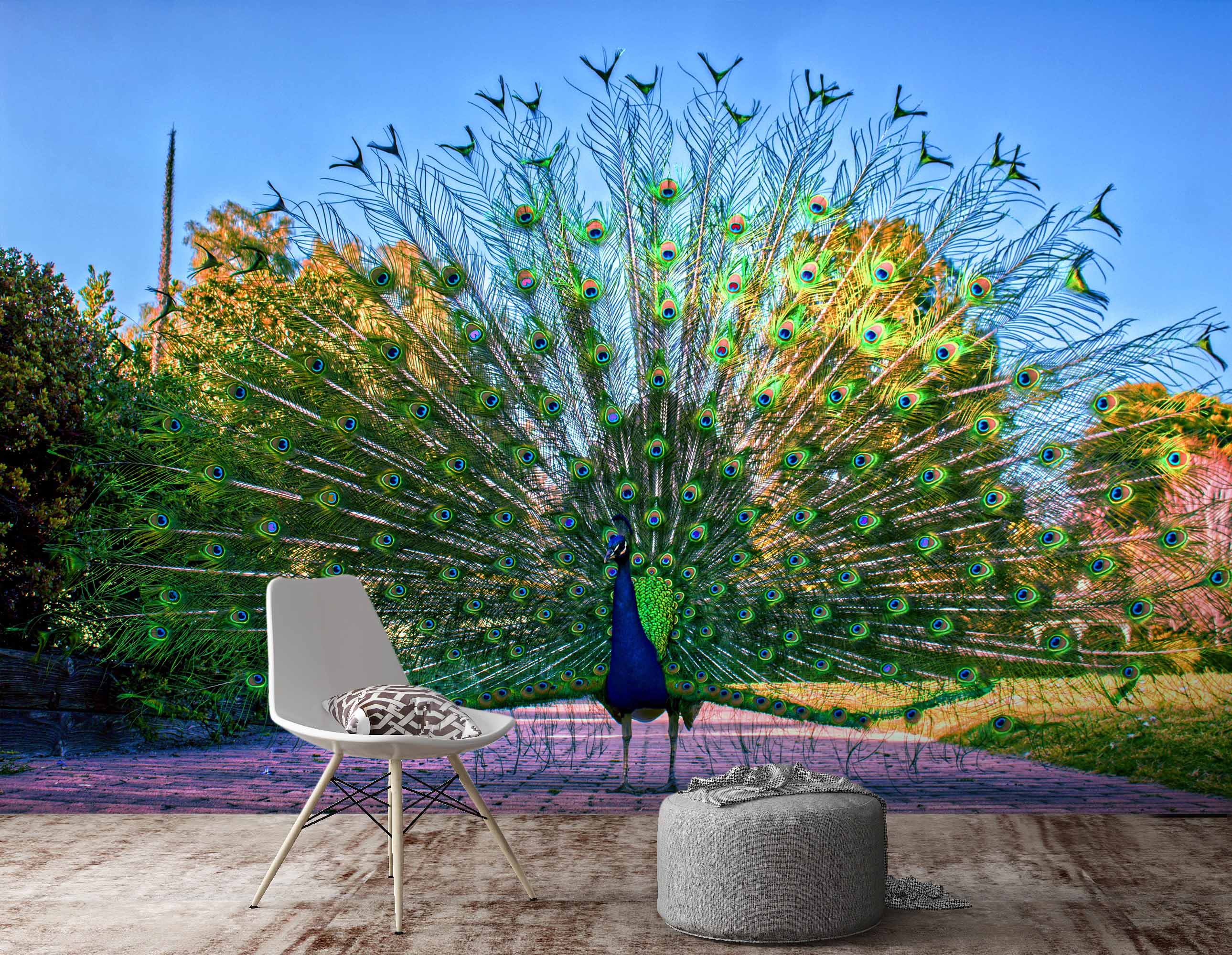 3D Peacock Opening 411 Wall Murals Wallpaper AJ Wallpaper 2
