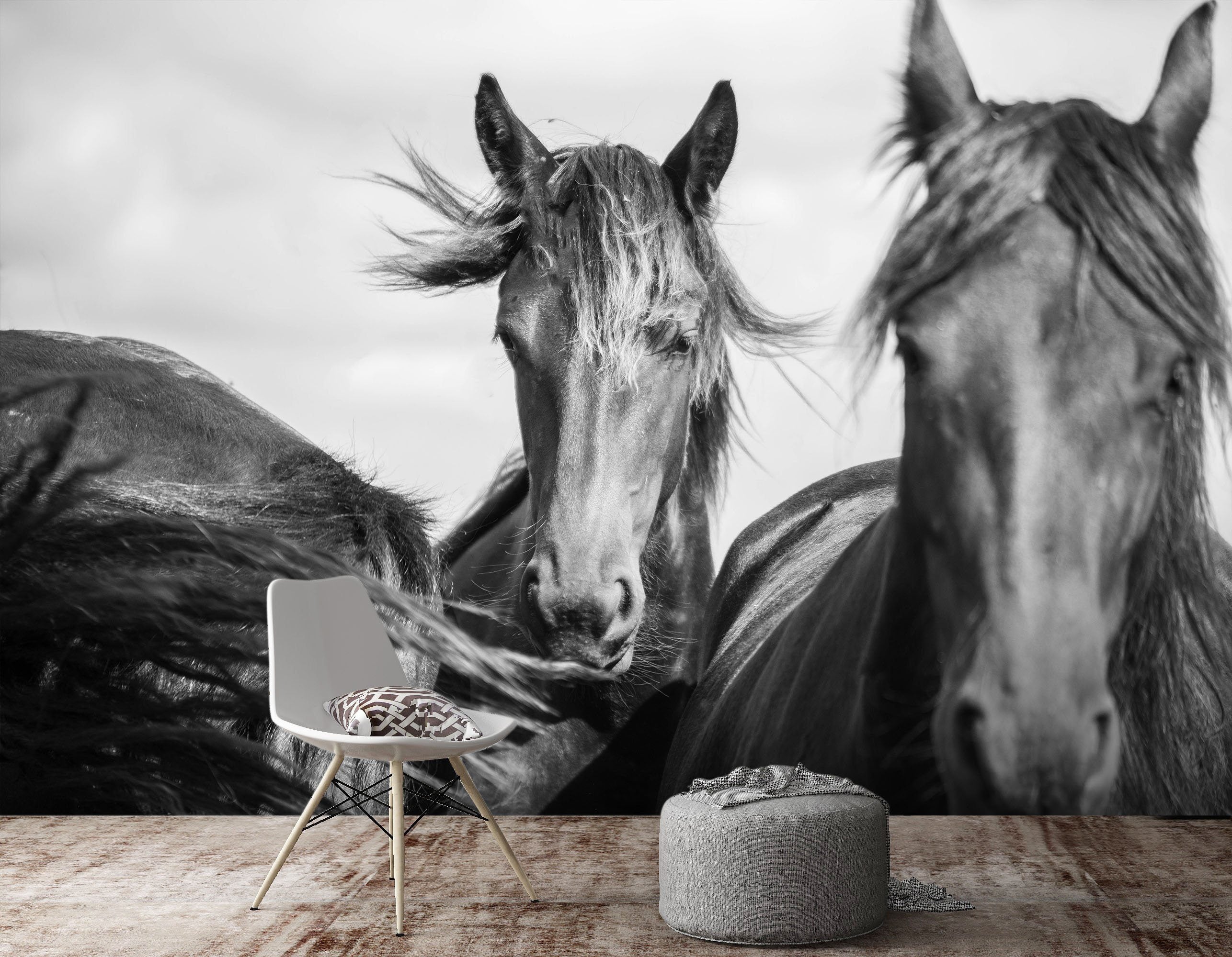 3D Black And White Grey Horse 671 Wallpaper AJ Wallpaper