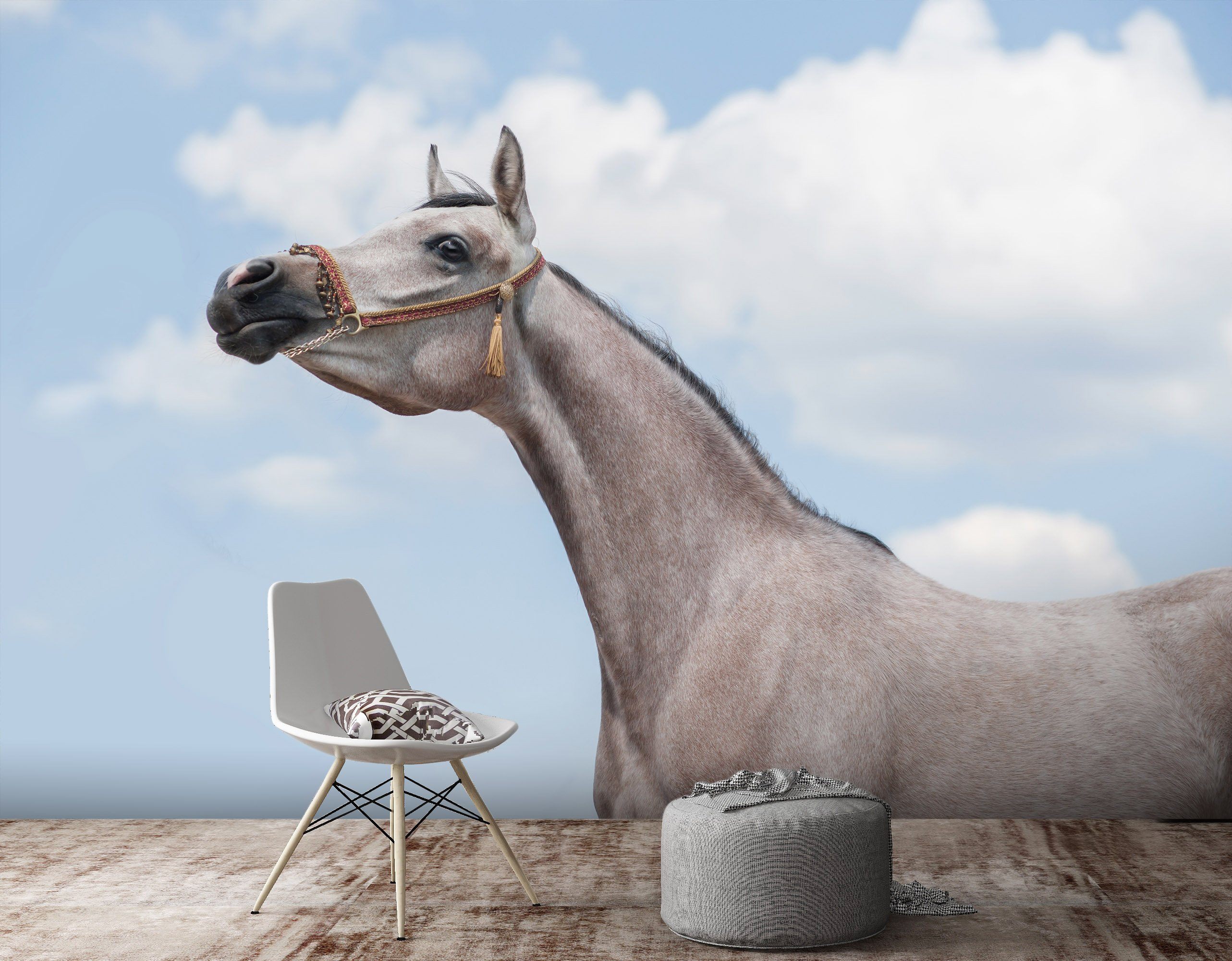 3D Lying Horse 672 Wallpaper AJ Wallpaper