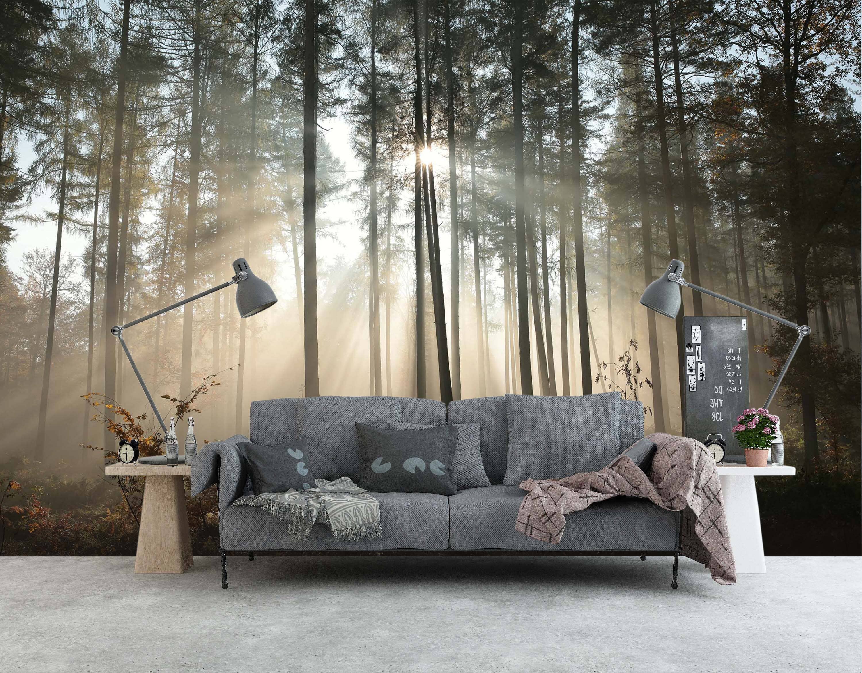 3D Woods Sunlight 1458 Wall Murals Wallpaper AJ Wallpaper 2