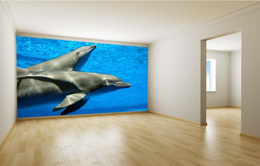 Sleeping Dolphins Wallpaper AJ Wallpaper