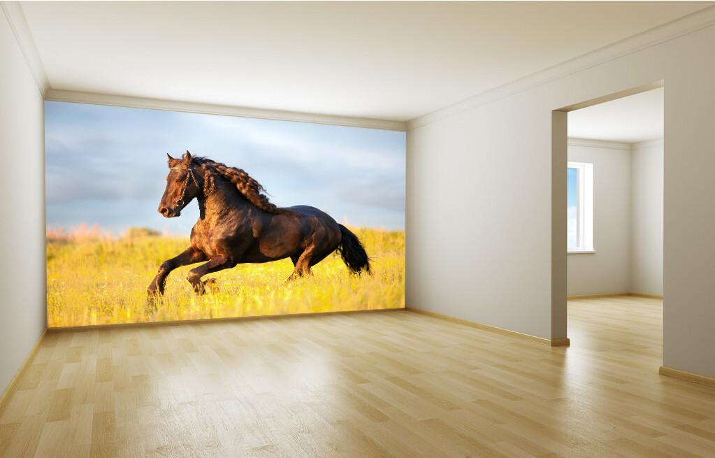 Running Horse Wallpaper AJ Wallpaper