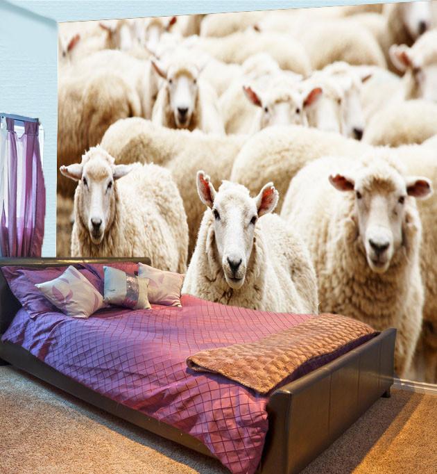 Flocks Of Sheep 1 Wallpaper AJ Wallpaper