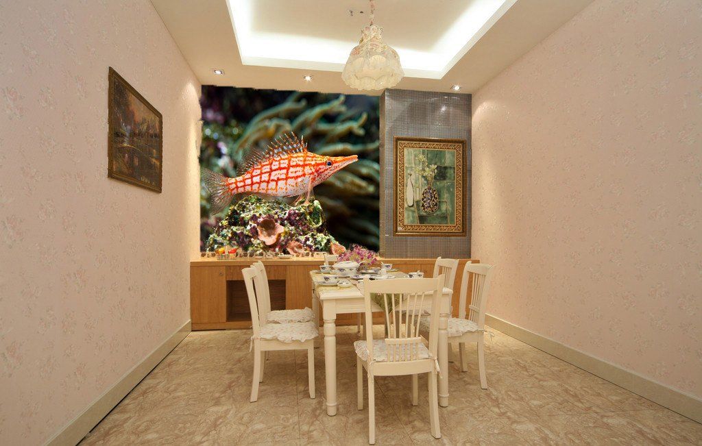 Beautiful Orange Pipefish Wallpaper AJ Wallpaper