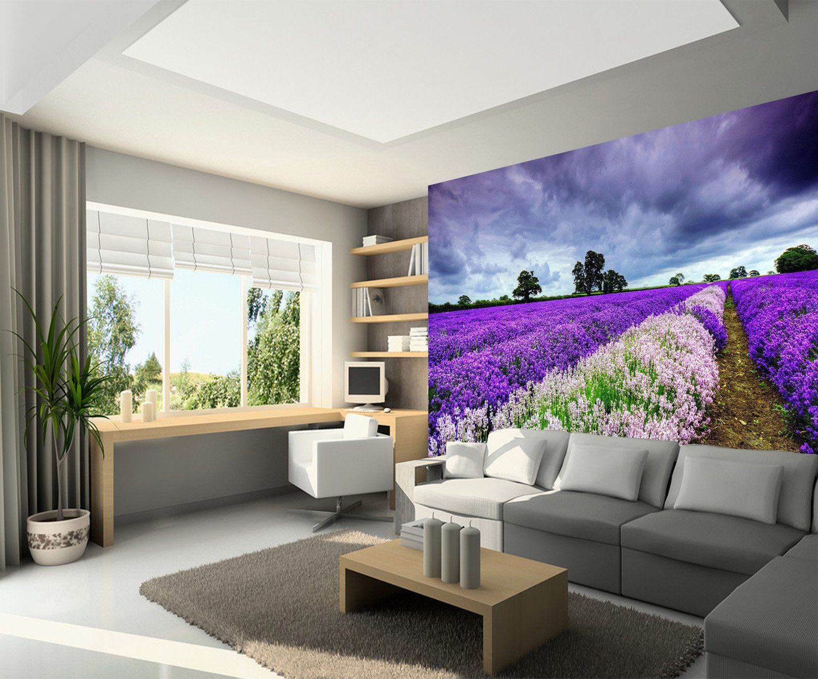 Blooming Flowers Fields Wallpaper AJ Wallpaper