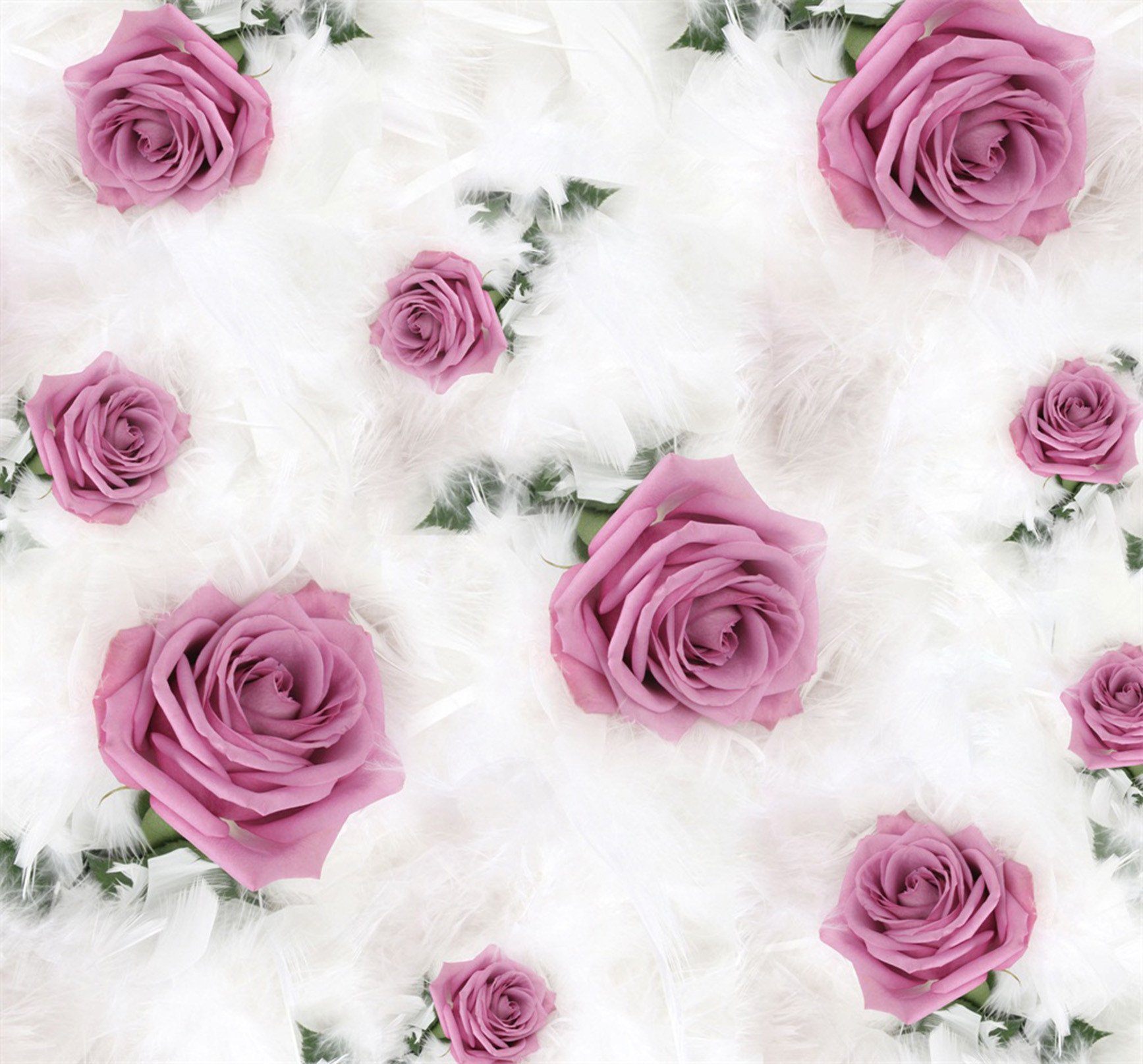 Roses And Feathers Wallpaper AJ Wallpaper