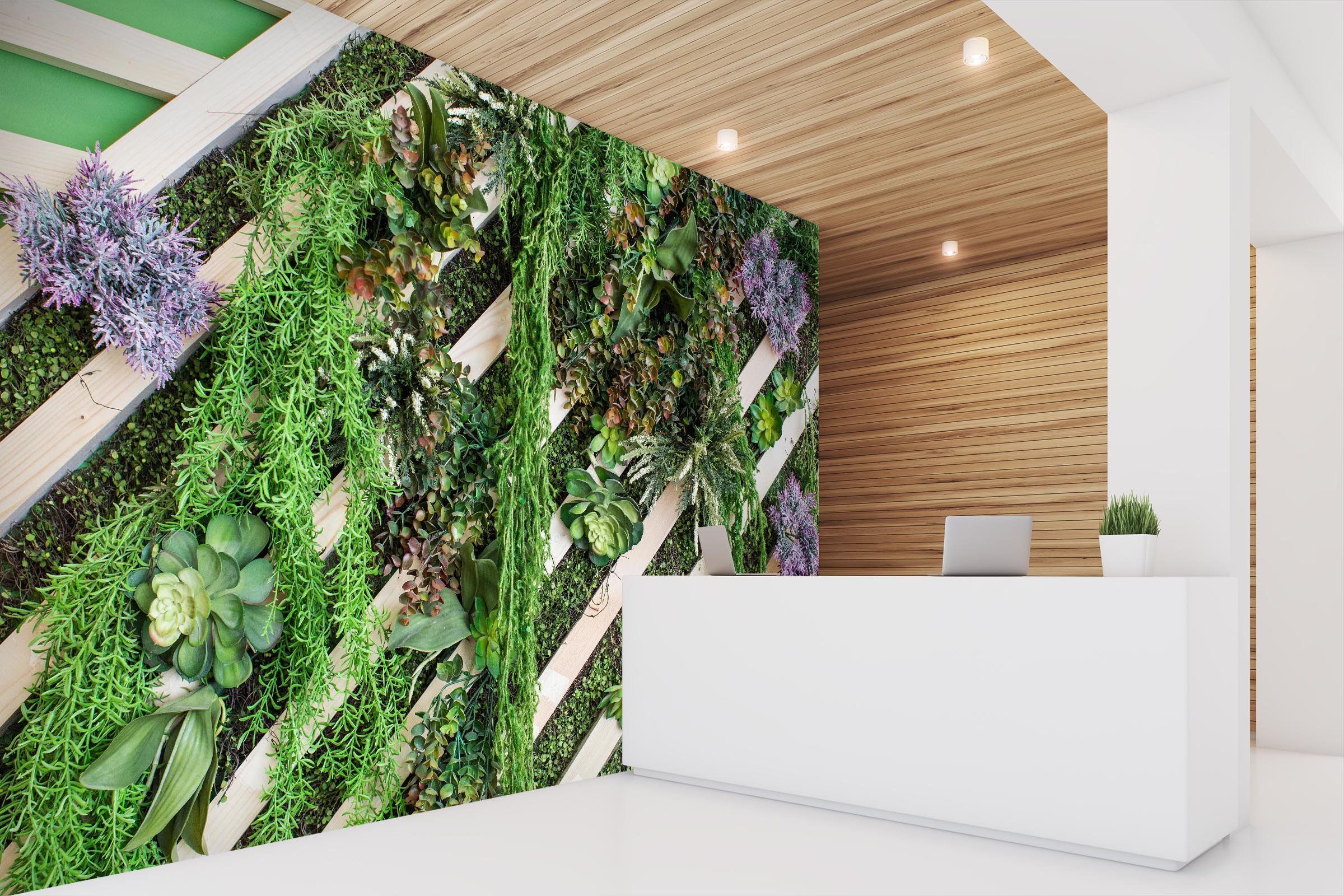 3D Succulents Plant Wall 254 Wallpaper AJ Wallpaper 2