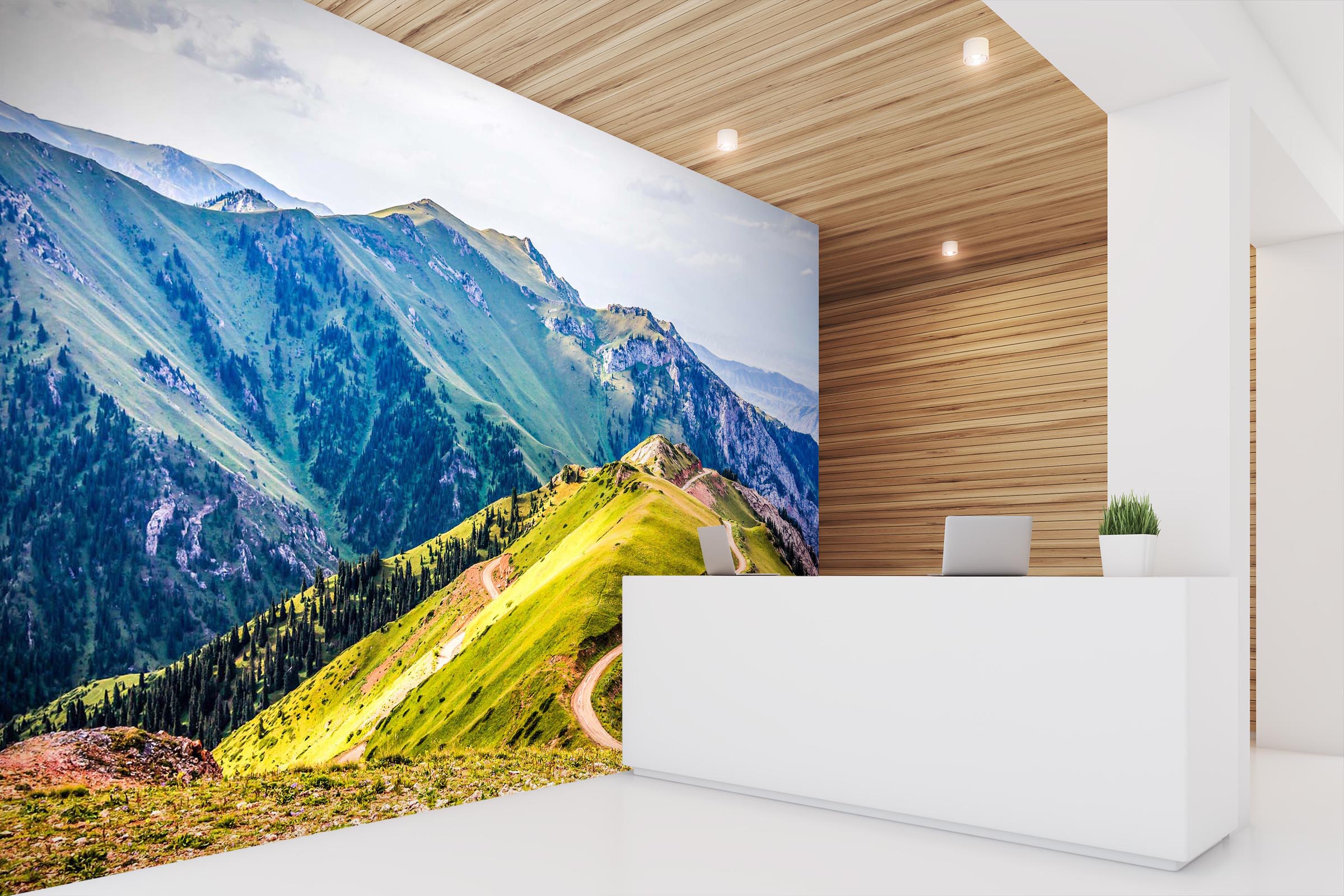 3D Natural Mountain 041 Wall Murals
