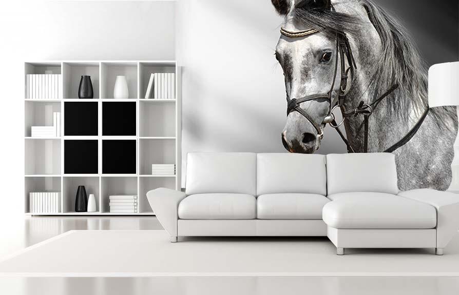 Gloomy Horse Wallpaper AJ Wallpaper