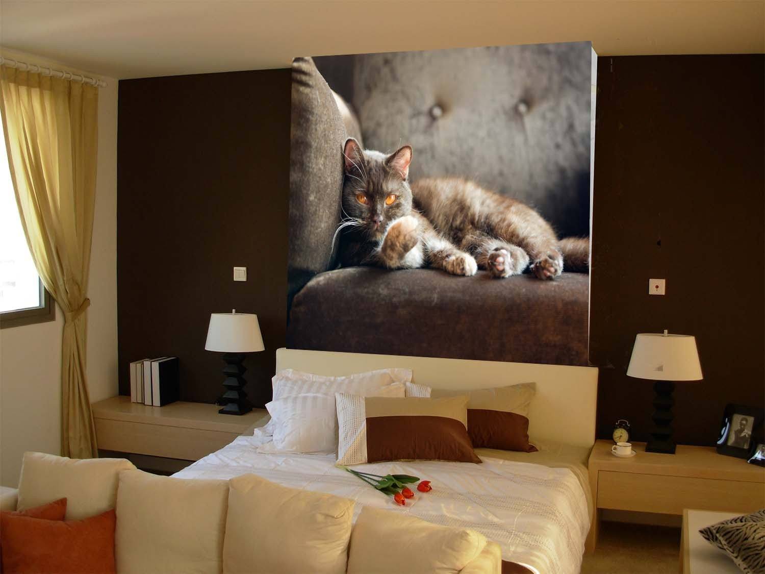 Staring Cat 1 Wallpaper AJ Wallpaper