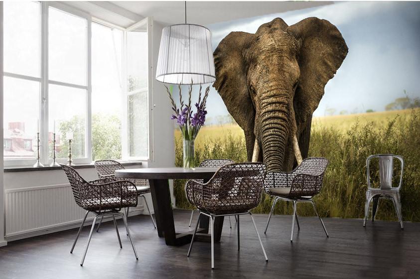Big Elephant Wallpaper AJ Wallpaper