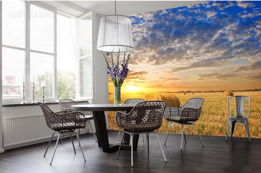 Grassland Landscape Wallpaper AJ Wallpaper