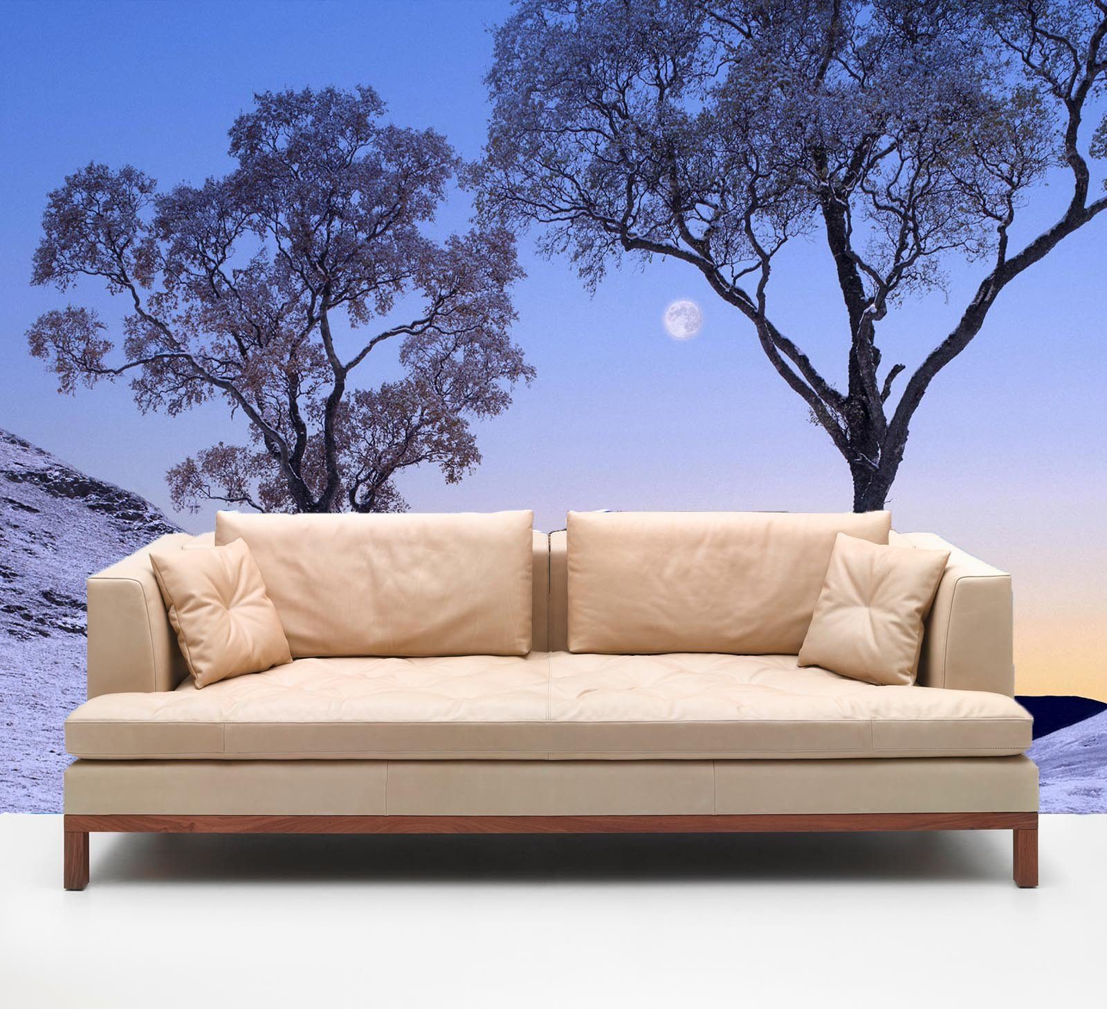 Graceful Trees Wallpaper AJ Wallpaper