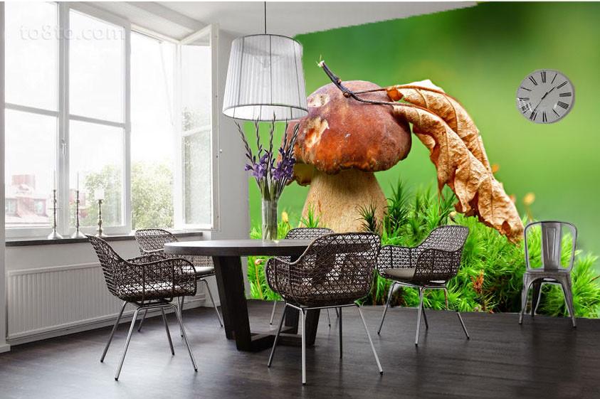 Mushroom Wallpaper AJ Wallpaper