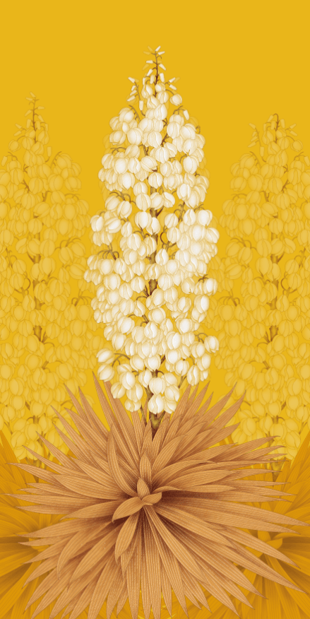 Blooming Plants Wallpaper AJ Wallpaper