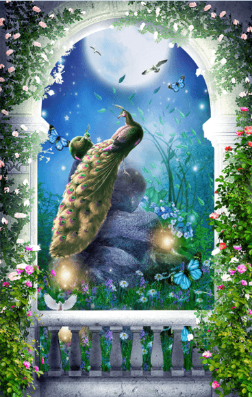 3D Arch Door Peacock Wall Murals Wallpaper AJ Wallpaper 2