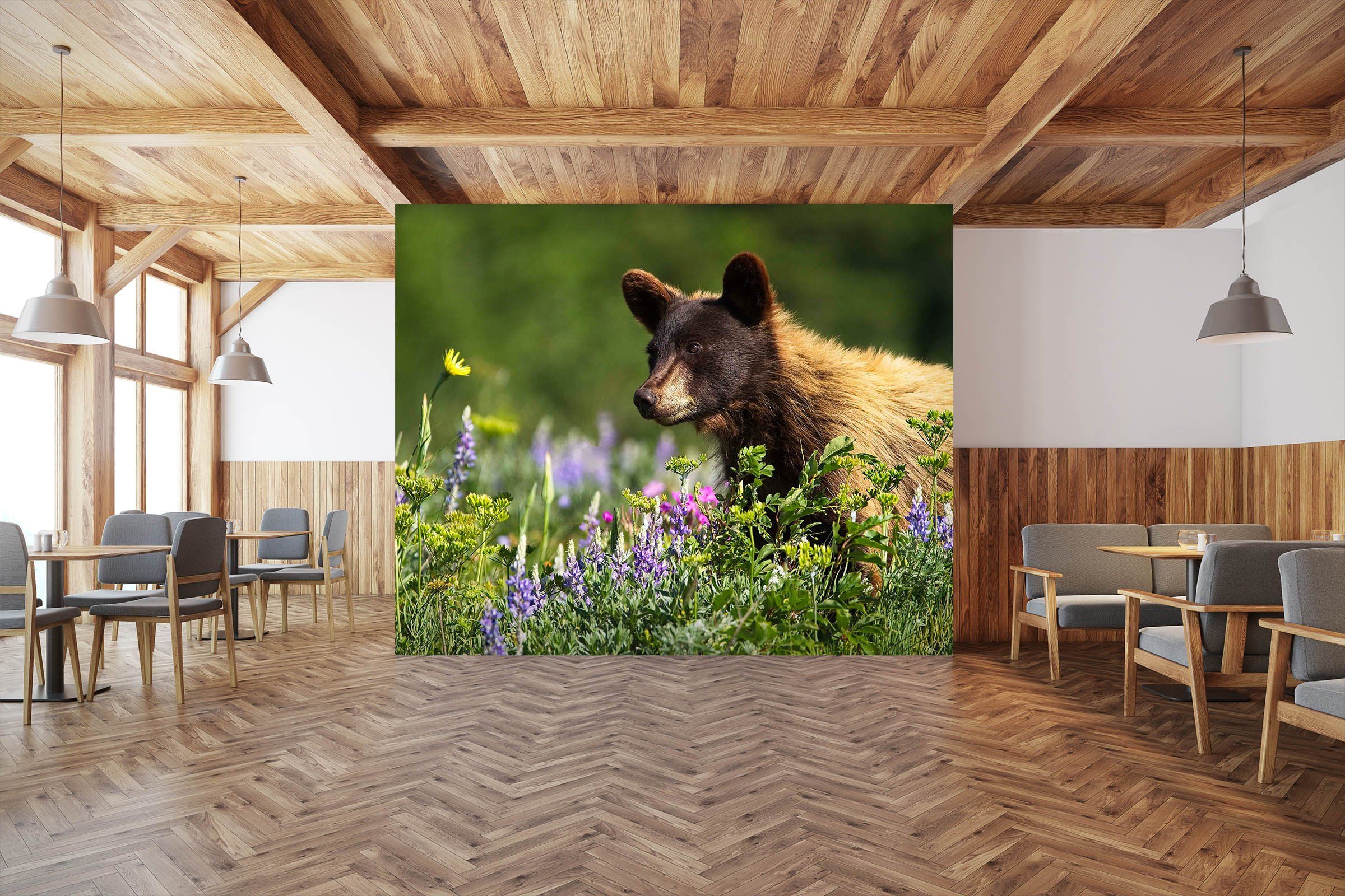 3D Bear Cub 103 Kathy Barefield Wall Mural Wall Murals Wallpaper AJ Wallpaper 2