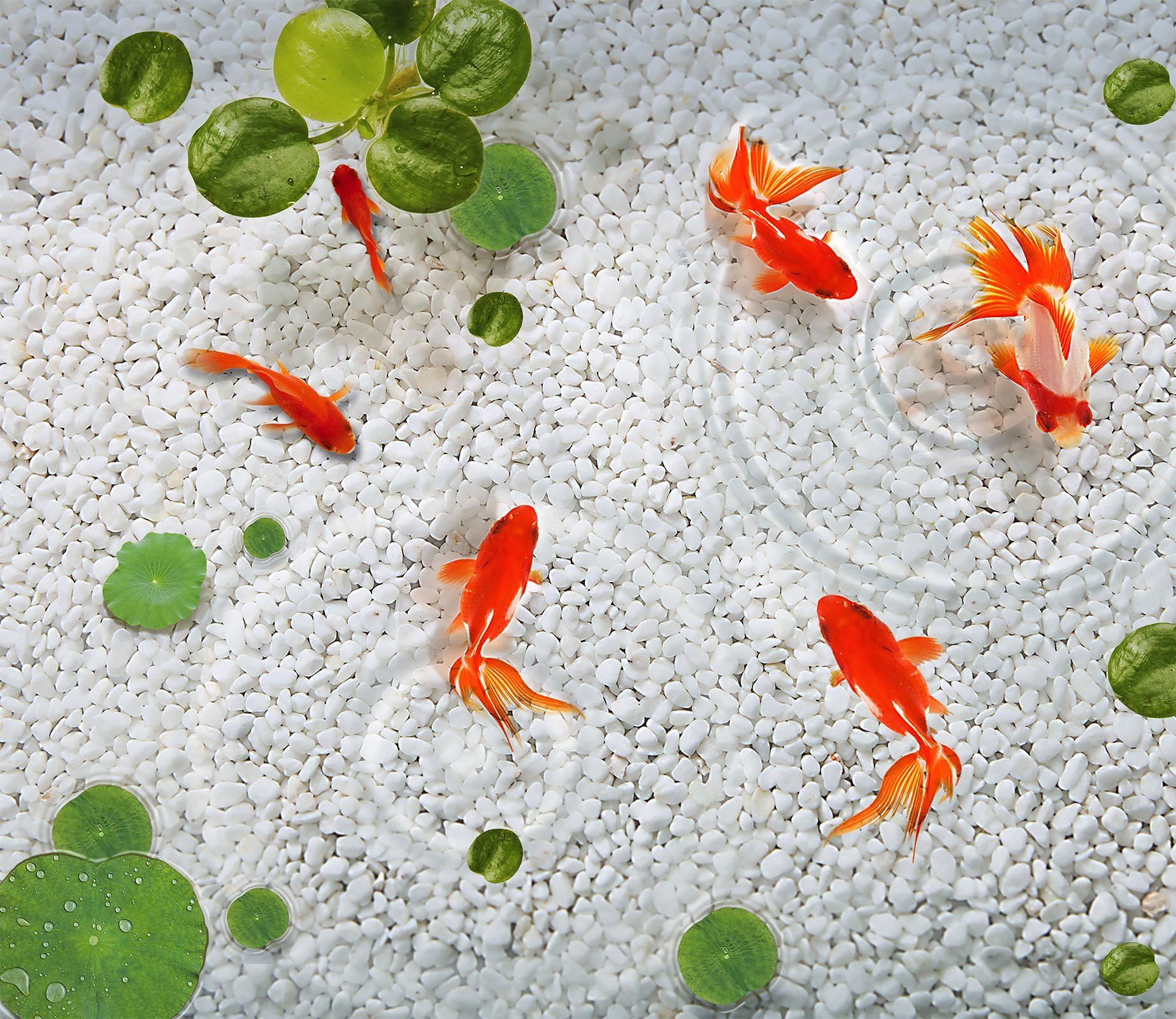 3D Goldfish Floor Mural Wallpaper AJ Wallpaper 2