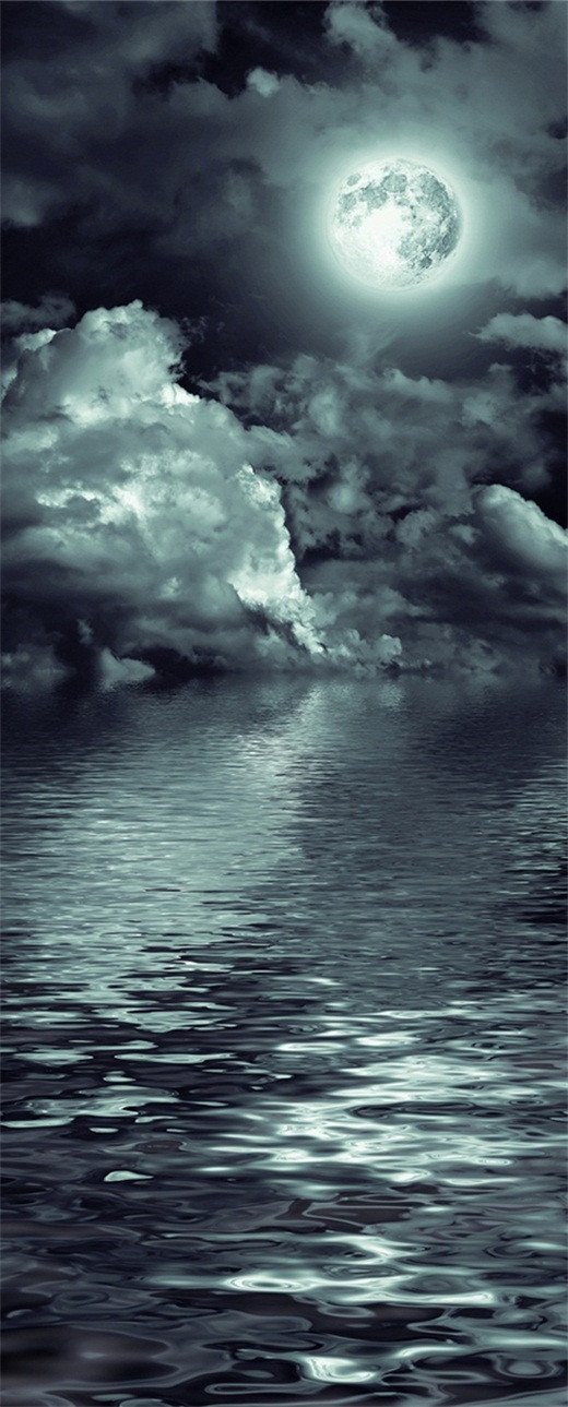 3D moon and the sea at night door mural Wallpaper AJ Wallpaper