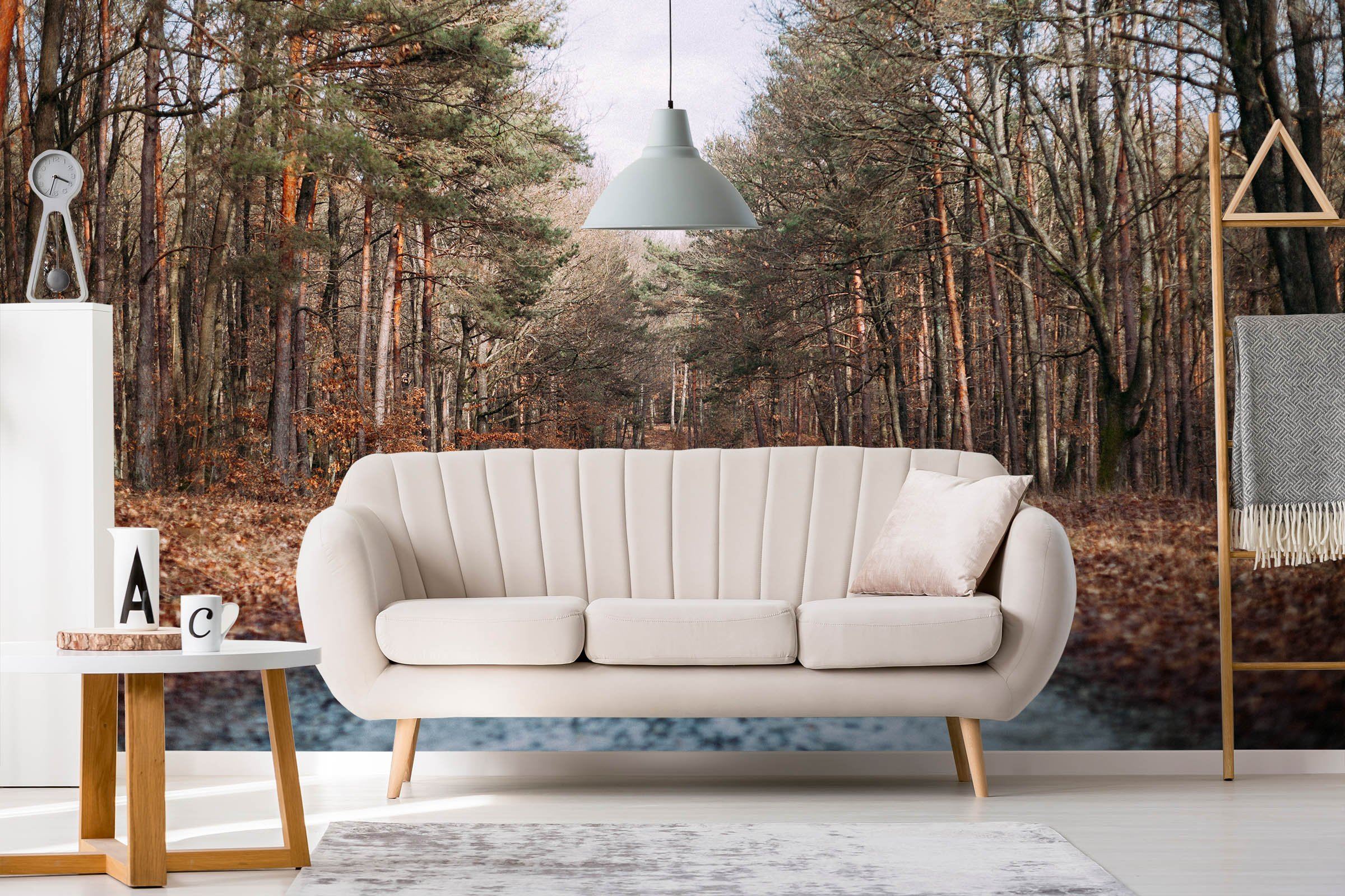 3D Small Road Woods 660 Wallpaper AJ Wallpaper