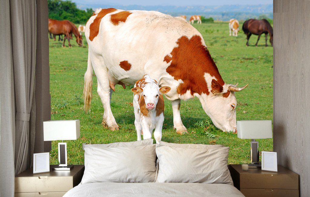 Eating Cows 1 Wallpaper AJ Wallpaper