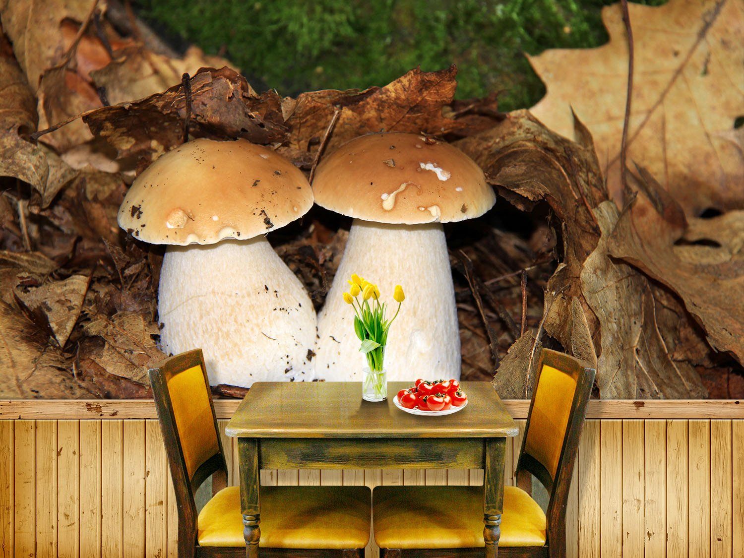 Mushrooms Wallpaper AJ Wallpaper