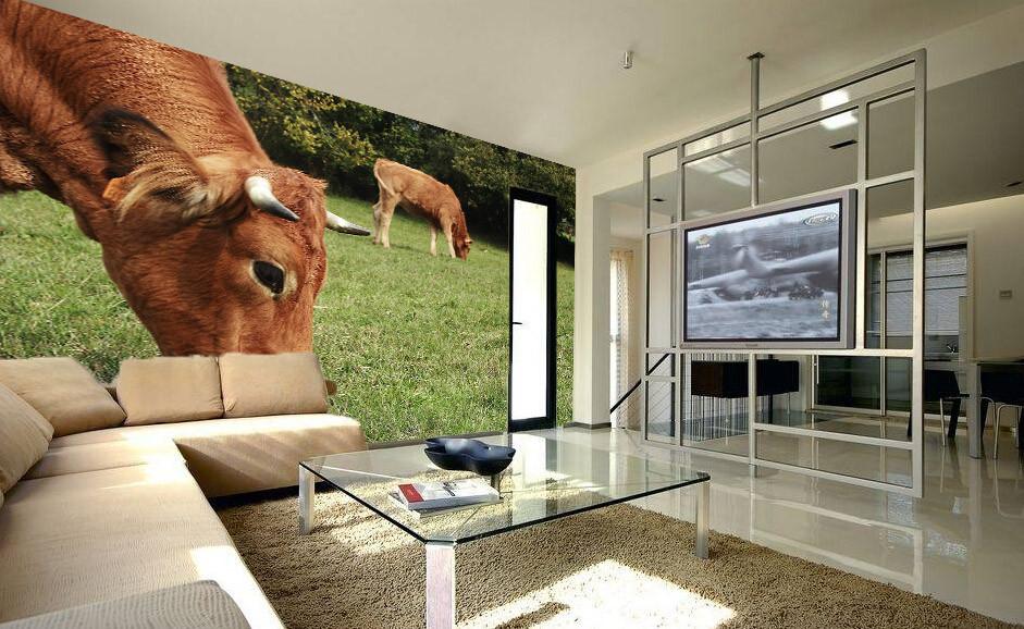 Browsing Cattles 1 Wallpaper AJ Wallpaper