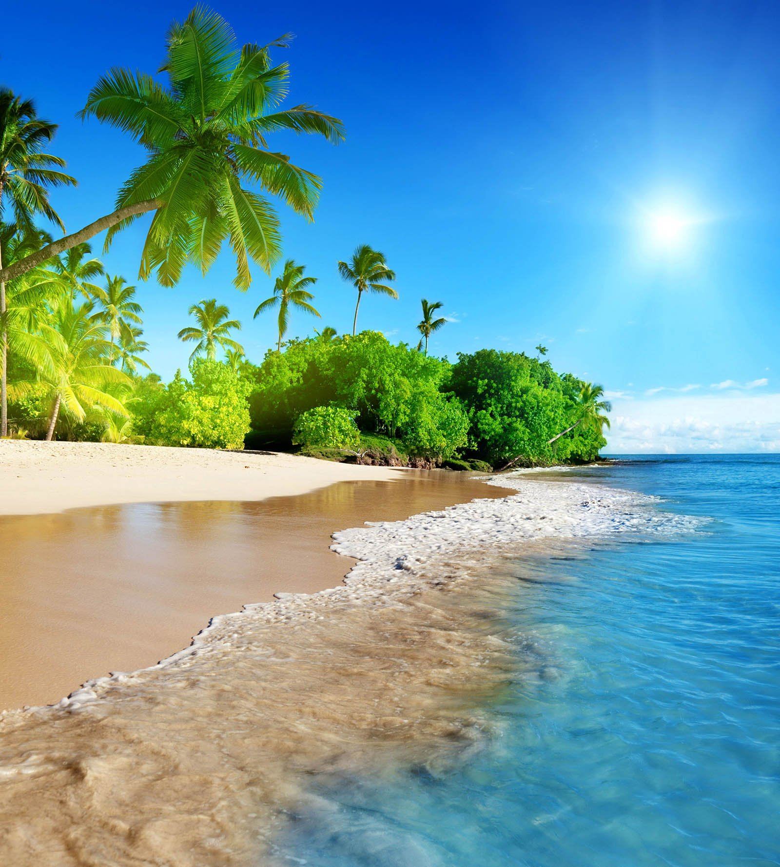 3D Seaside Coconut Tree 121 Shower Curtain 3D Shower Curtain AJ Creativity Home