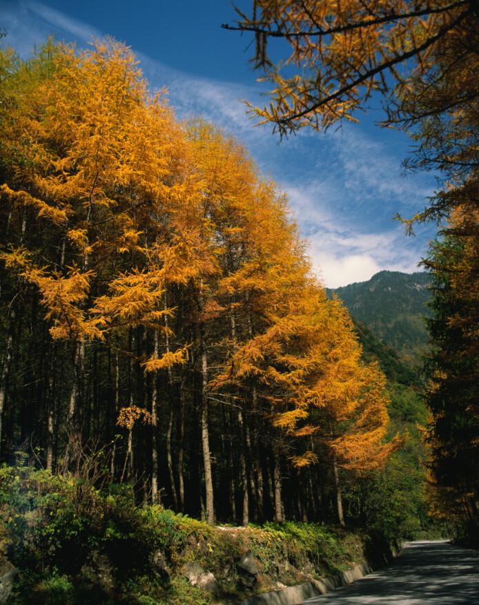 Mountains Road Wallpaper AJ Wallpaper