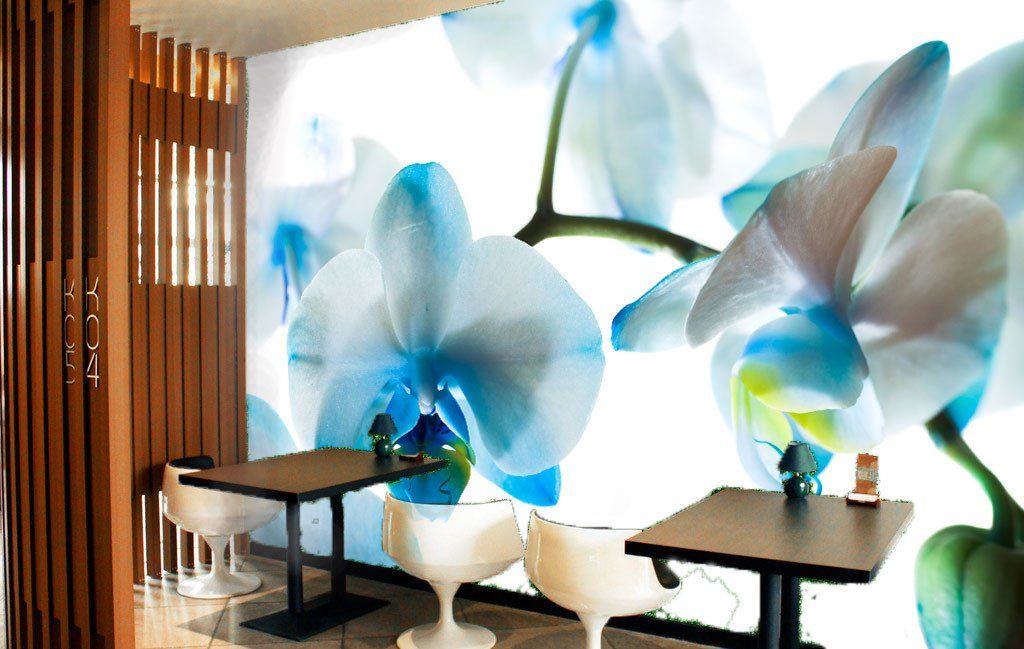 Chic Flowers Wallpaper AJ Wallpaper