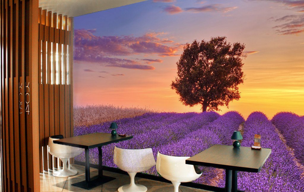 Flowers Field Sunset Wallpaper AJ Wallpaper