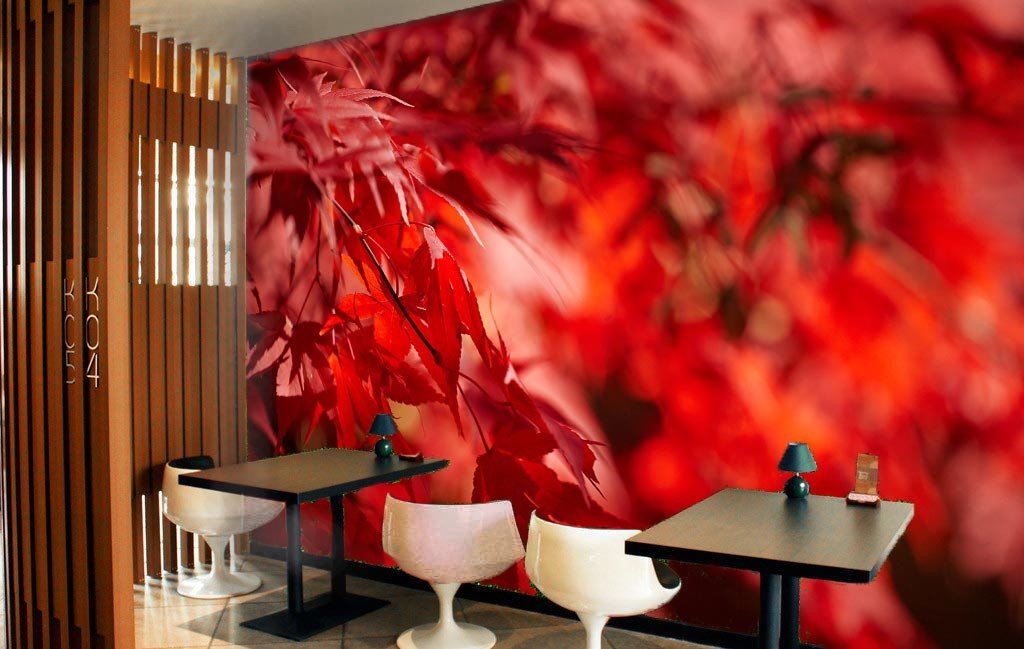 Red Maple Leaf Wallpaper AJ Wallpaper