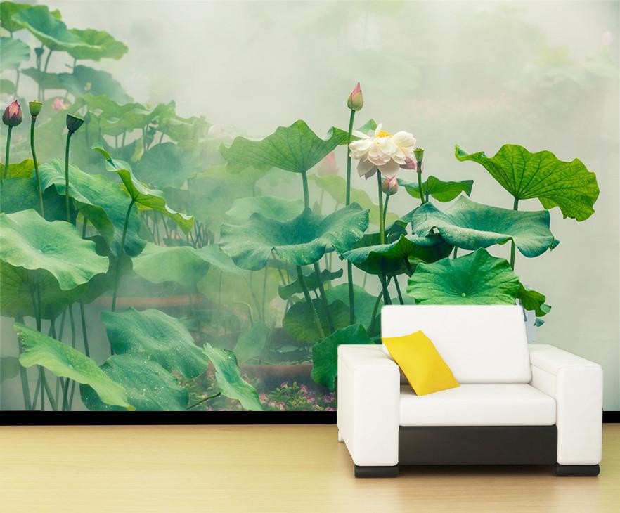 3D Green Louts Pond 556 Wallpaper AJ Wallpaper