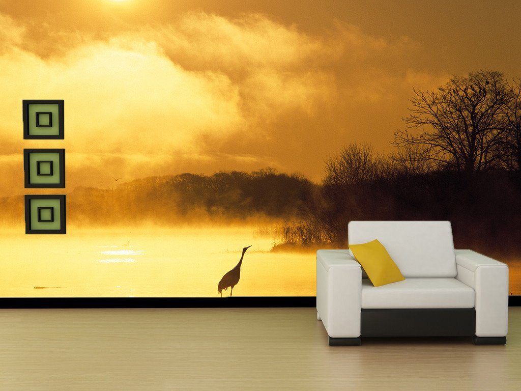 Wild Lake Crane Wallpaper AJ Wallpaper