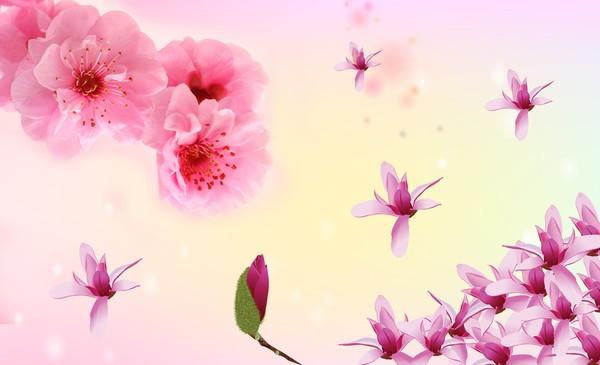 Flying Flowers 1 Wallpaper AJ Wallpaper