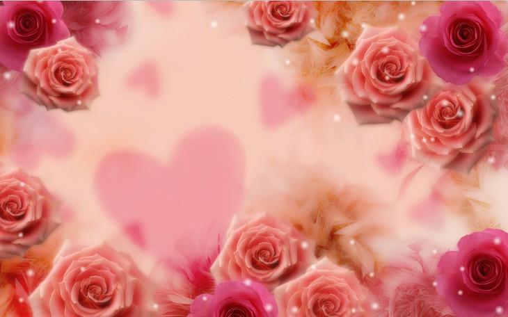 Pink Roses 2 Wallpaper AJ Wallpaper