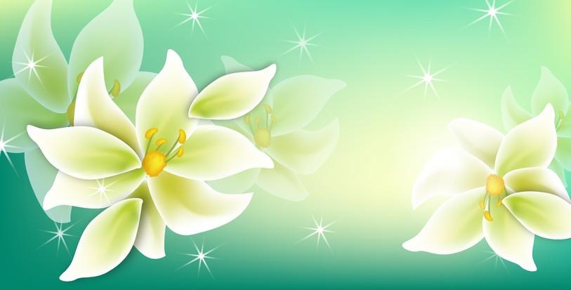 Beautiful Flowers 5 Wallpaper AJ Wallpaper